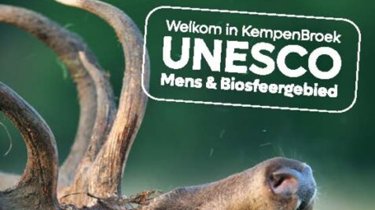 Ontdek het Weerterbos-Hugterheide met nieuwe wandelkaart