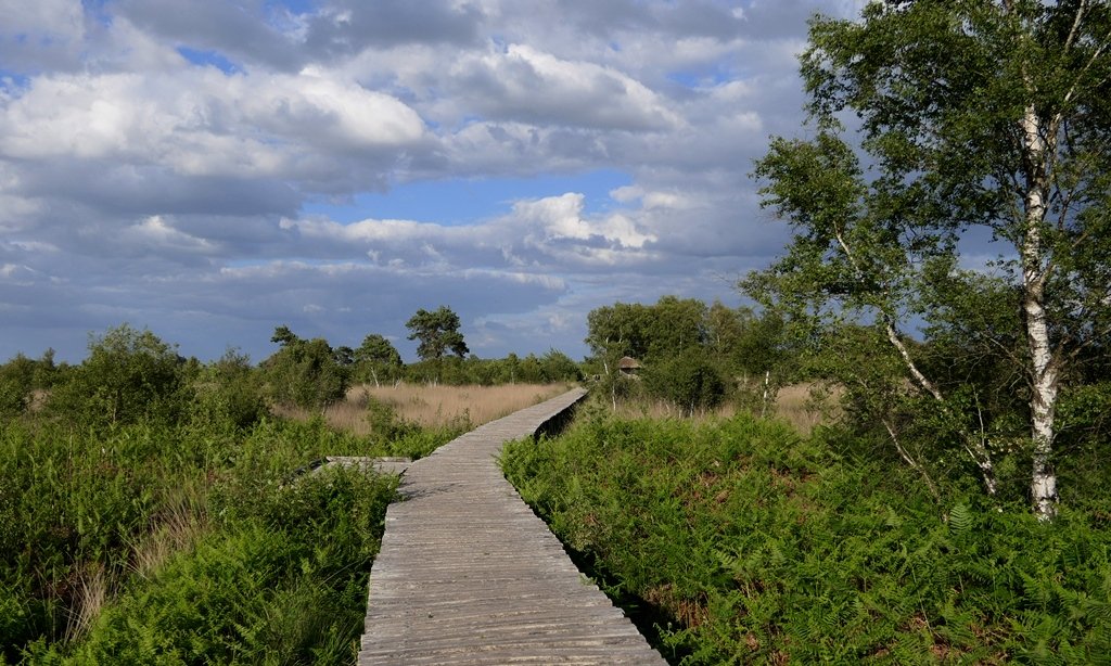 Afbeelding van een wandelpad in het  buitengebied