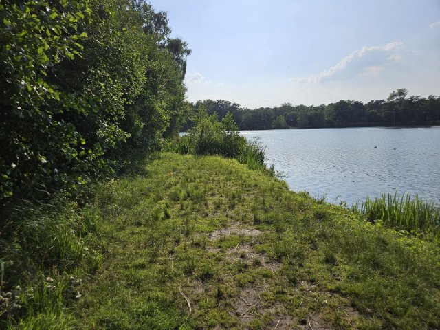 Kanaal Nederweert