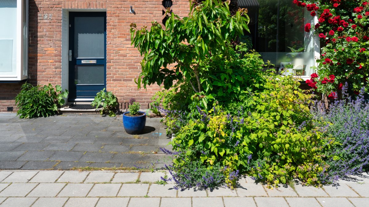 Winnaars tuinactie