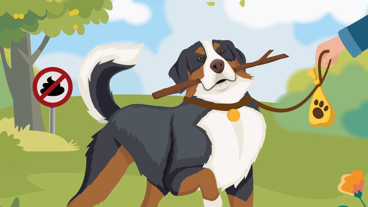 Nieuwe hotspots hondencampagne