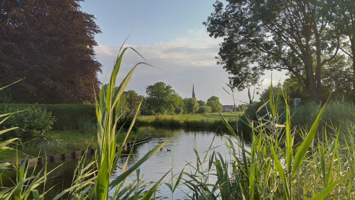 Winnaars natuurfotowedstrijd