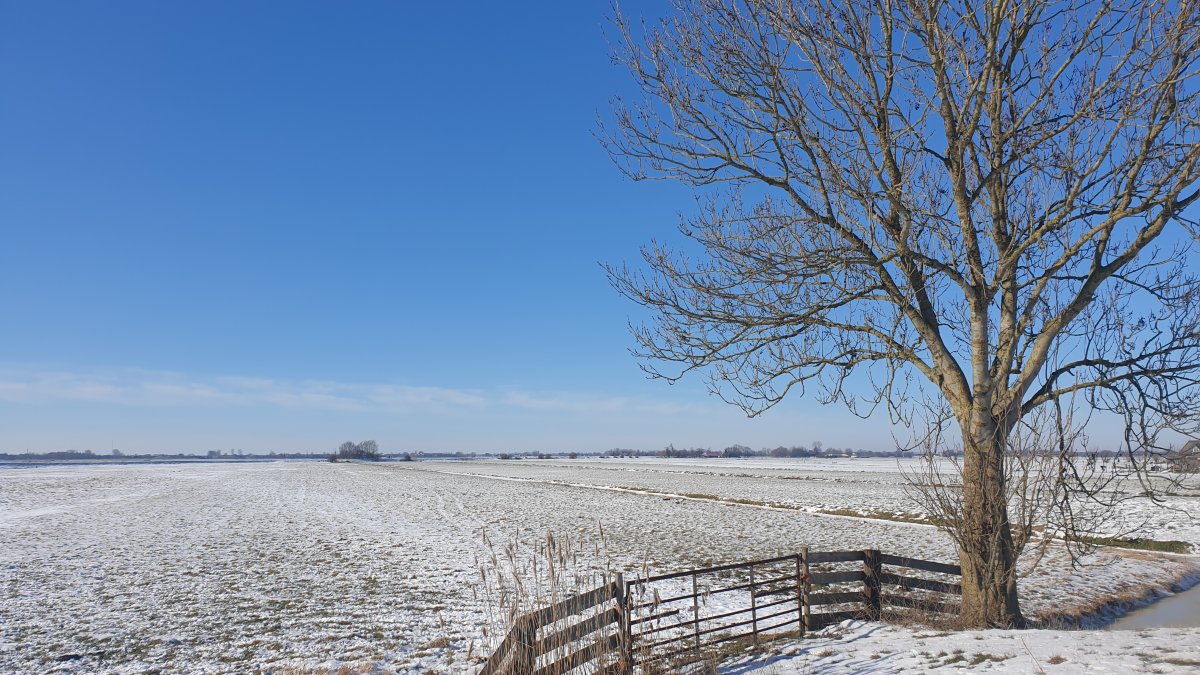 Aanpassingen door sneeuw en gladheid