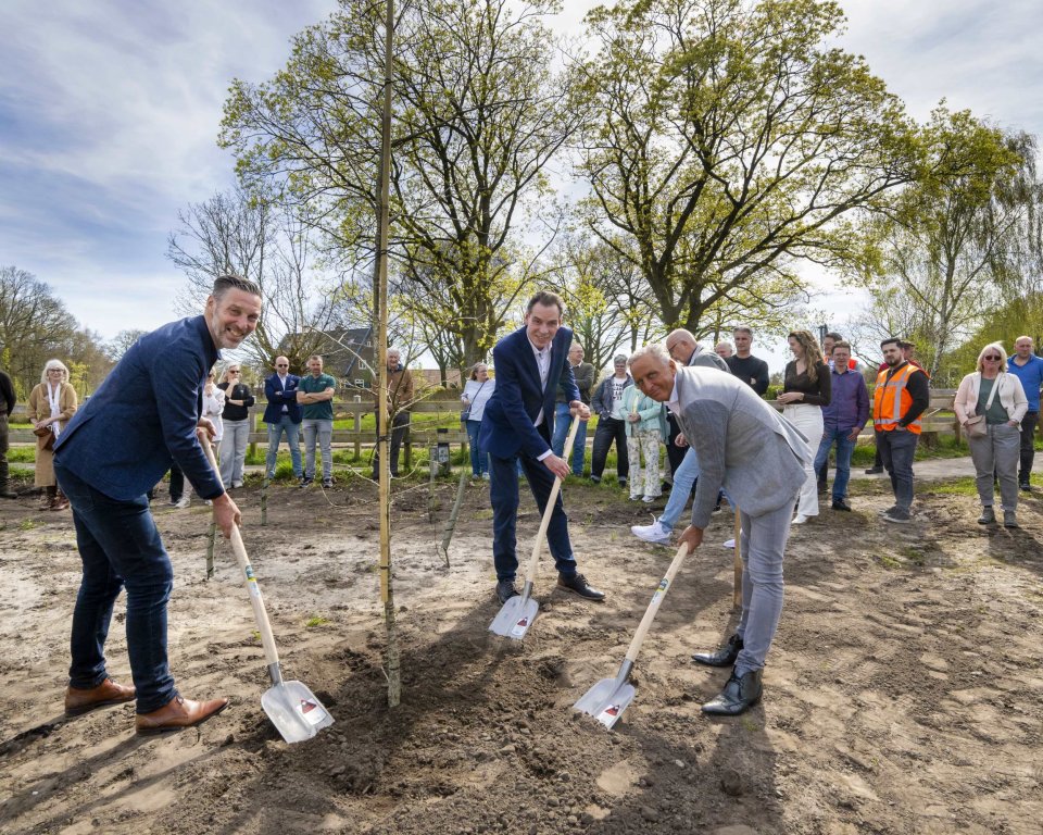 boom planten in hoevelakense bos