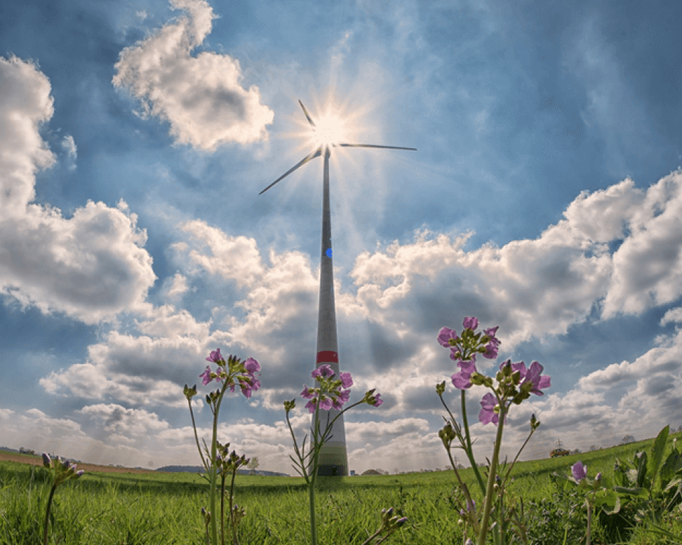 windmolen