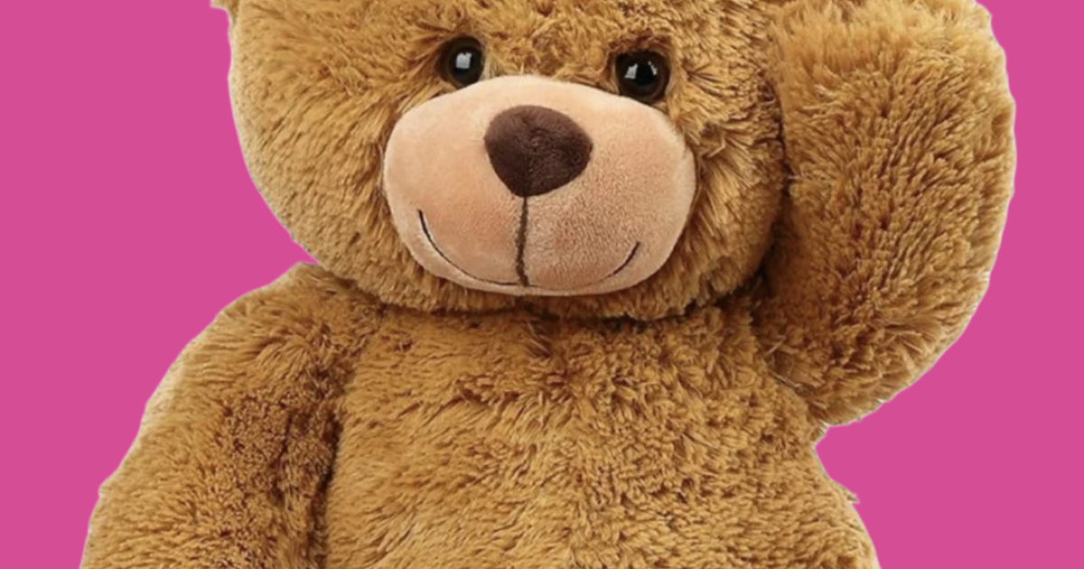 Grote knuffelbeer Bo vraagt aandacht voor kinderen die tijdelijk een 2e thuis nodig hebben
