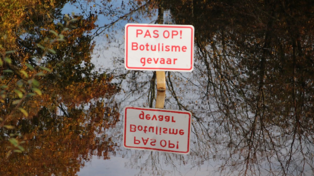 Botulisme in Nijkerk