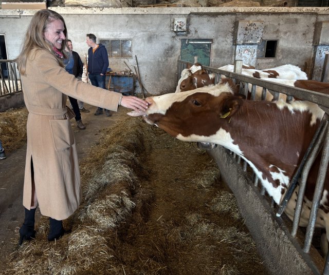 Als kind van een boer gaven de koeien een big smile bij de burgemeester