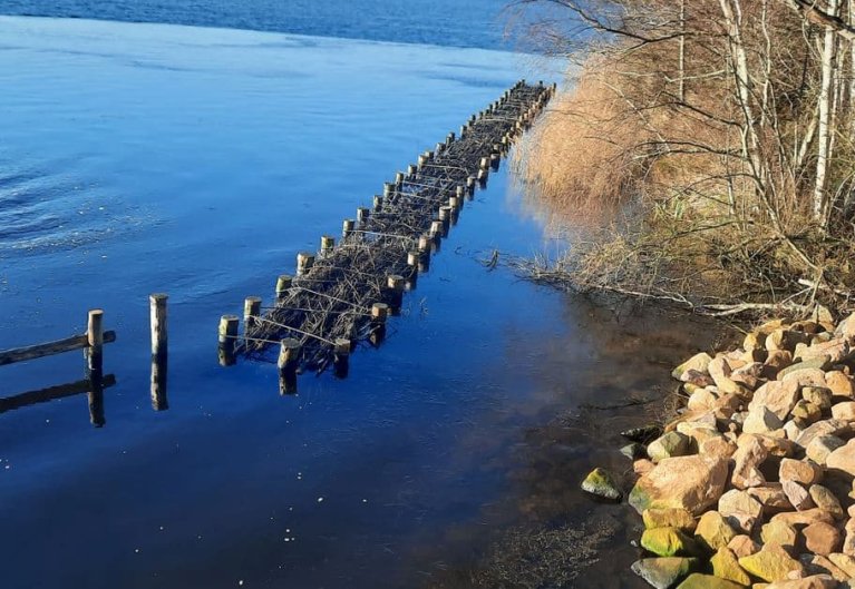 Vissenbos bij Halve Manen bij Paterswoldsemeer