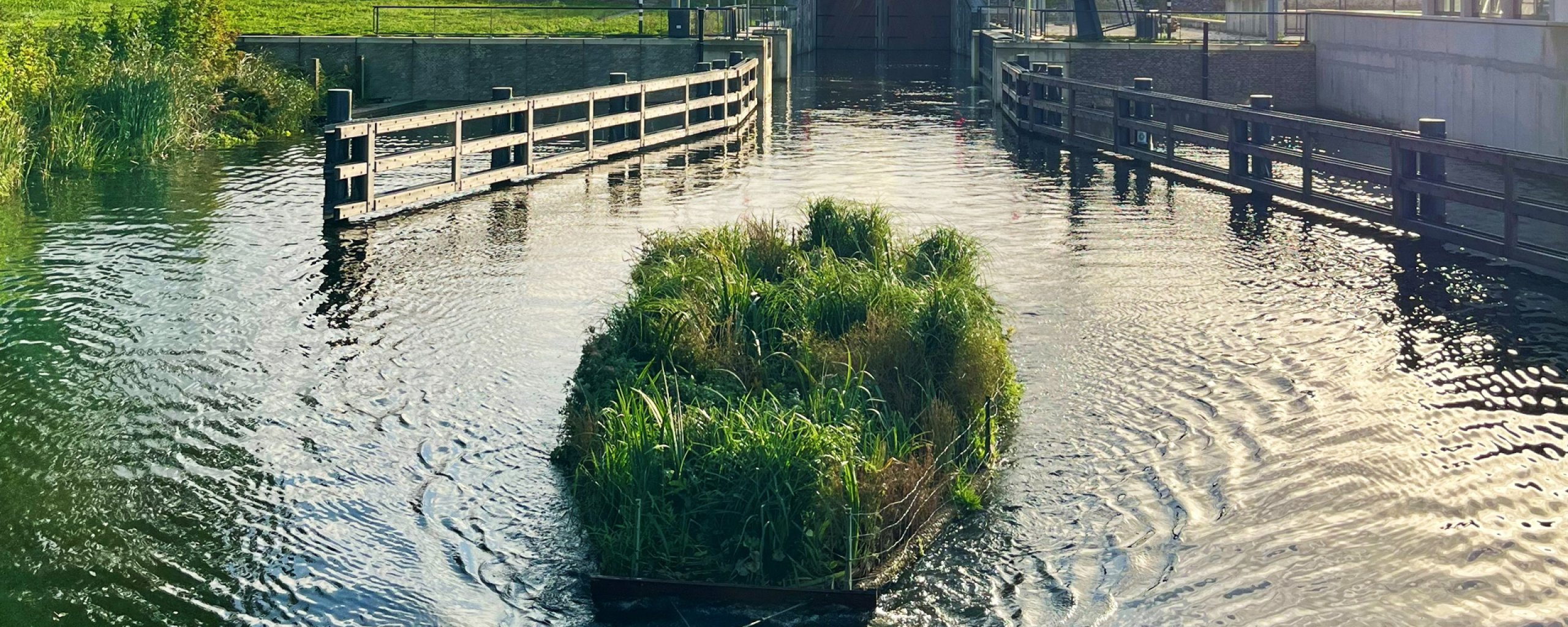 foto natuurinclusief eiland bij Gemaal Hunsingo en de Hunsingosluis.
