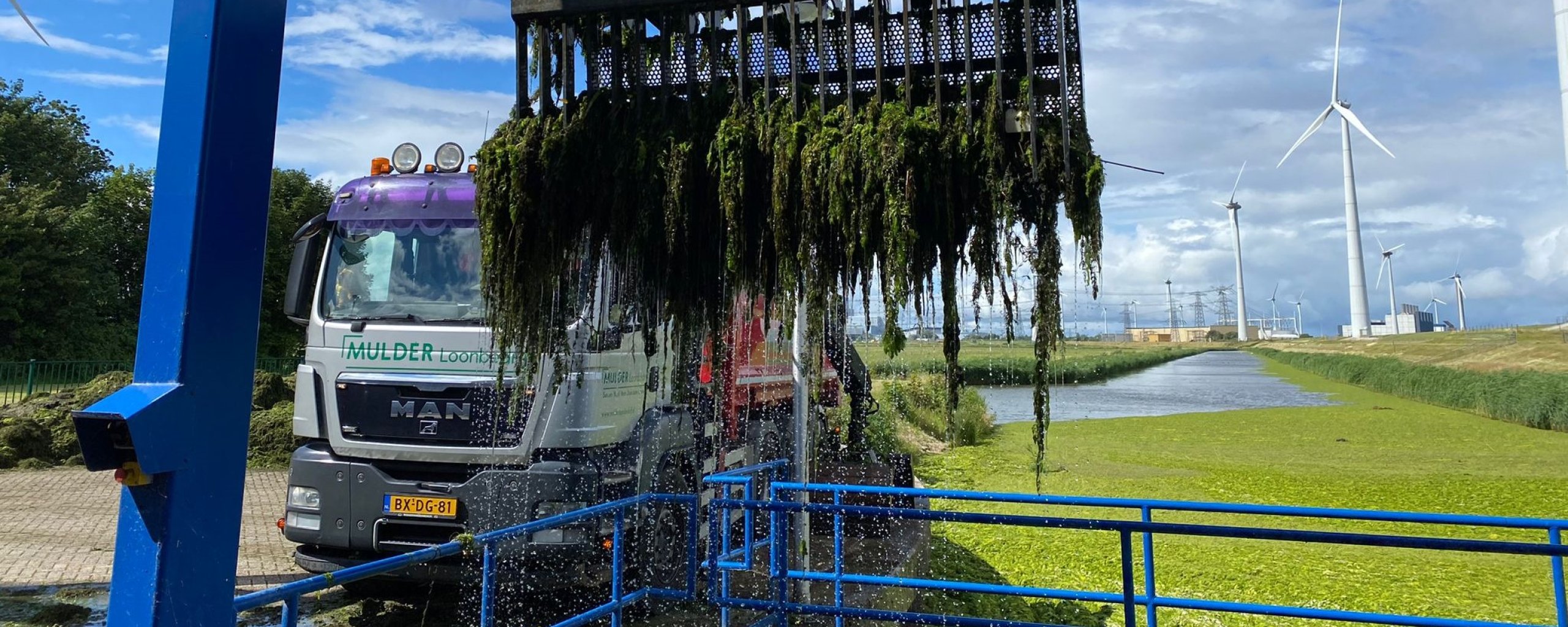 Een krooshek wordt vrijgemaakt van plantenresten met een grijper