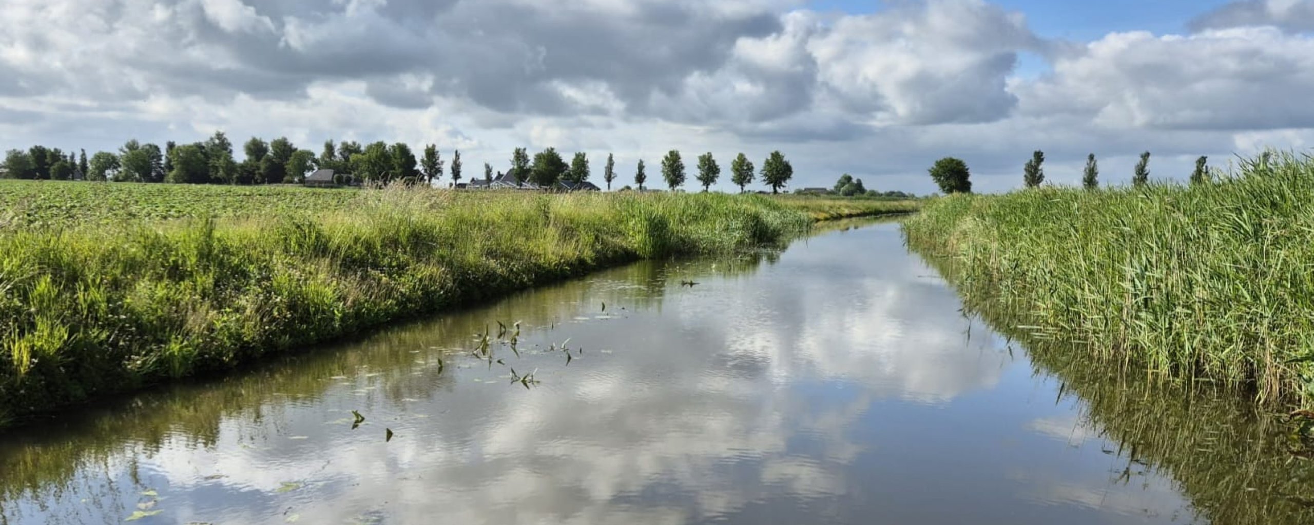 Wat jij kunt doen voor schoner water