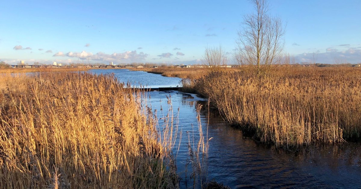 Voorkeursalternatief Extra Waterberging De Onlanden Vastgesteld ...