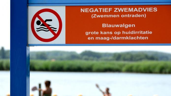 Bord waar een waarschuwing op staat: negatief zwemadvies. Blauwalgen: grote kans op huidirritatie en maag-/darmklachten