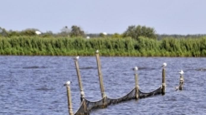 Rietproef Lauwersmeer