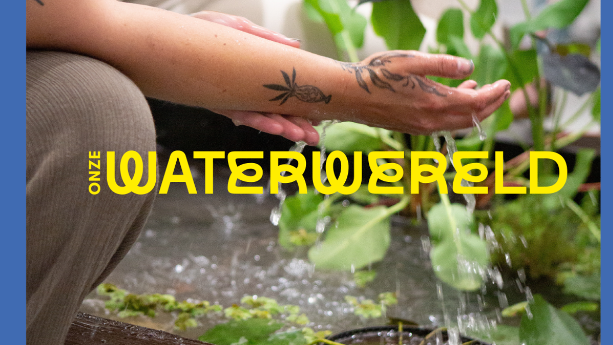 Programma Onze Waterwereld op 27 juni in Lauwersoog