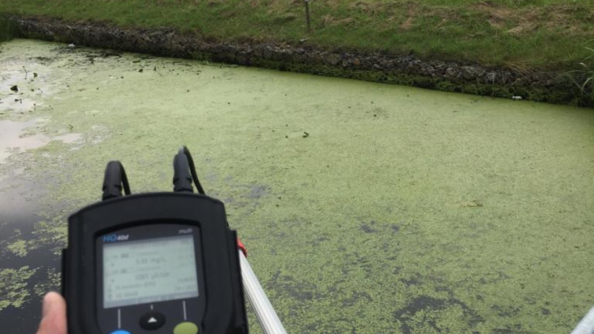 Waterkwaliteit weer voldoende op orde: calamiteit Wehe den Hoorn afgeschaald