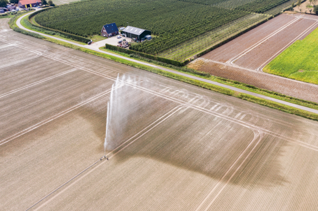 Sprinklers on farmland, source: Dutch Water Authorities