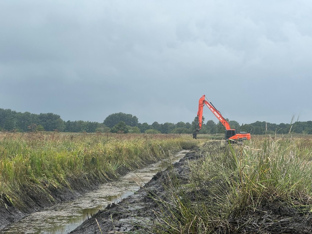 Working Under Ecological Guidance