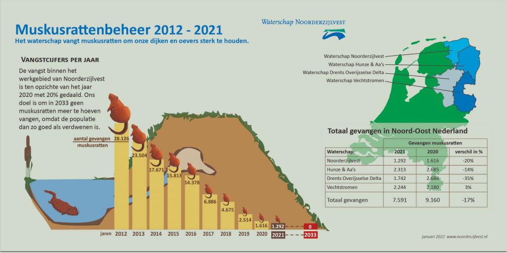 Muskusrattenbeheer van 2012 tot en met 2021(de cijfers en meer uitleg zijn te lezen onder het plaatje) 
