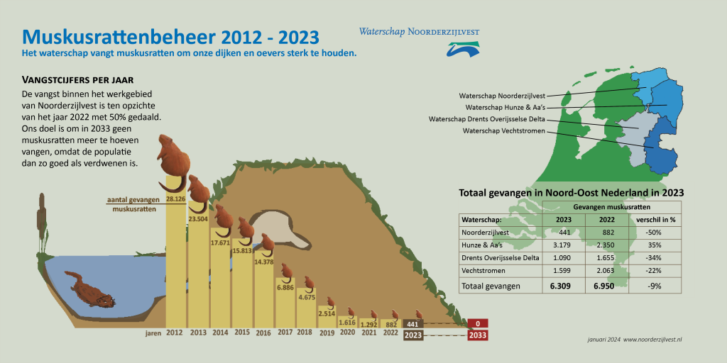 Muskusrattenbeheer 2012 -2023