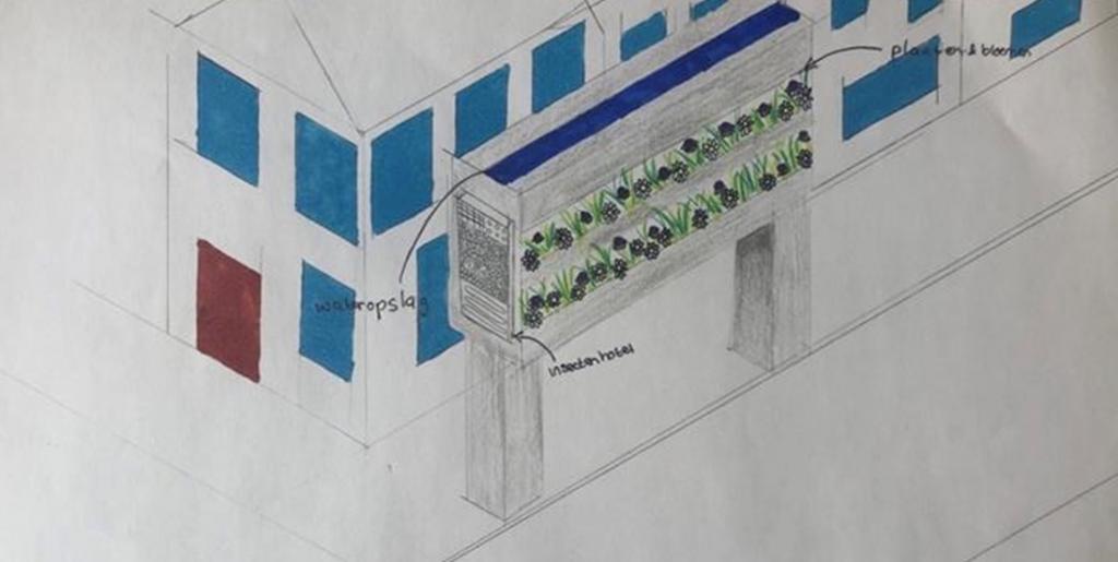 Schets van het winnende idee van verticaal planten, inclusief gebruik van insectenhotels, zonnepanelen en opvang van water