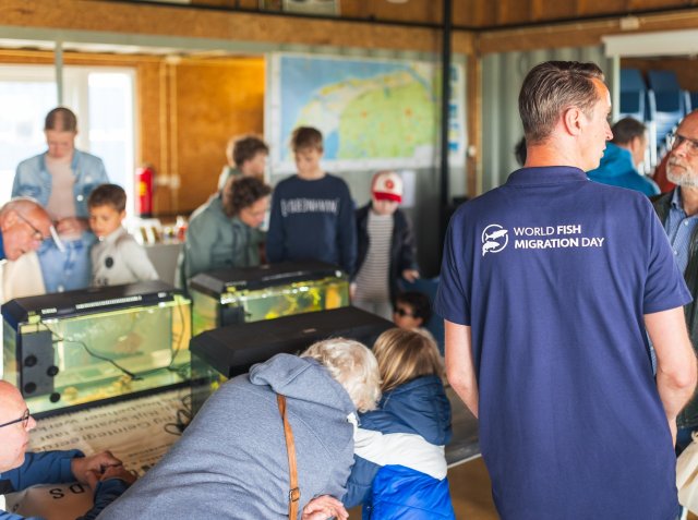 Fish Migration Day in 2024: People looking at aquariums in the Waddenloods, with a colleague from the water authority in the foreground