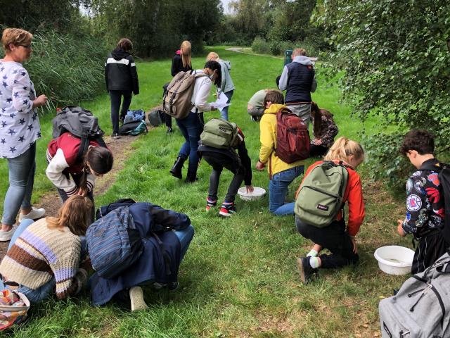 Leerlingen van het Praedinius Gymnasium maken tijdens locatiebezoek kennis met kleine waterbeestjes (macrofauna). Zij gaan tijdens hun eerste trimester voor het vak Onderzoek en Ontwerp een ‘vissenhotel’ ontwerpen waar vissen en kleine waterbeestjes kunnen schuilen en leven. 