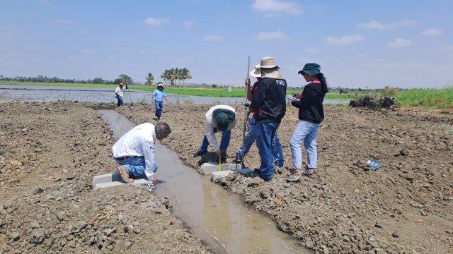 Hier voeren onderzoekers een proef uit in de rijstvelden van Piura (Peru). Ze meten hoe water door de geulen stroomt om efficiënter irrigatiebeheer mogelijk te maken. Door de droogte is elke druppel kostbaar, en deze testen helpen boeren om met minder water toch rijst te kunnen verbouwen.