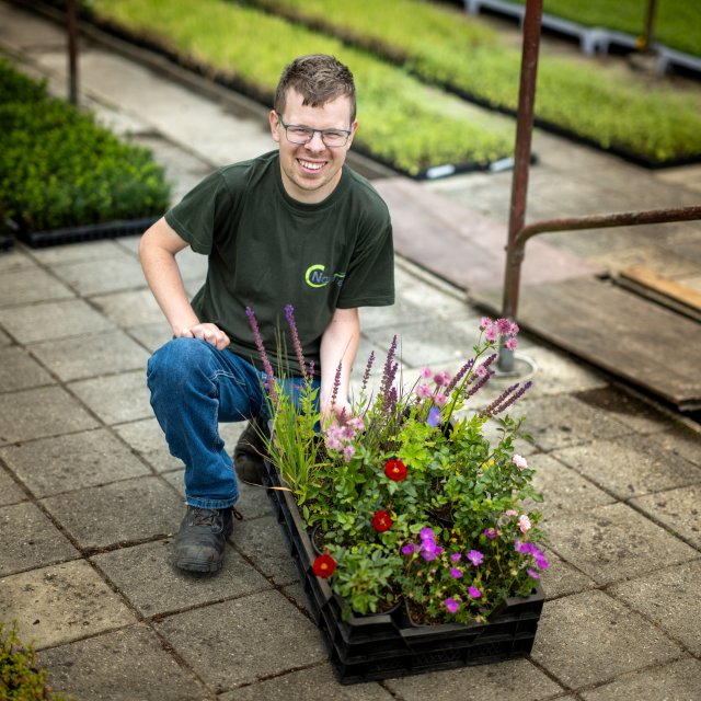 Ruben Zeef die werkzaam is op de Kwekerij toont een kistje met planten