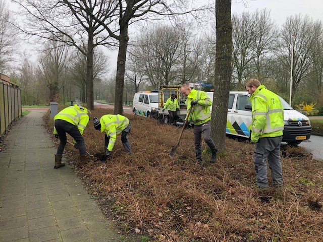 Medewerkers Buitendienst aan het werk in Zuidhorn