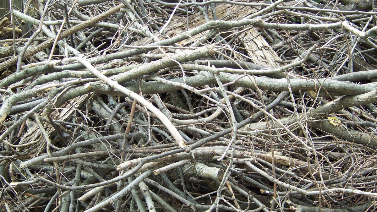 Groenhopen na gemeentelijke werkzaamheden