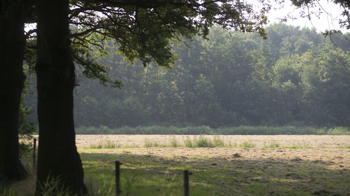 Nieuwe eigenaar in beeld voor noordzijde Landgoed Gulbergen