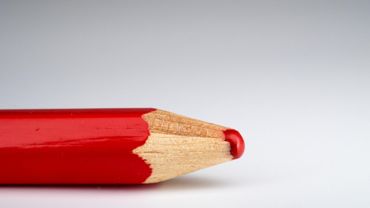 Verkiezingen dorps- en wijkraden