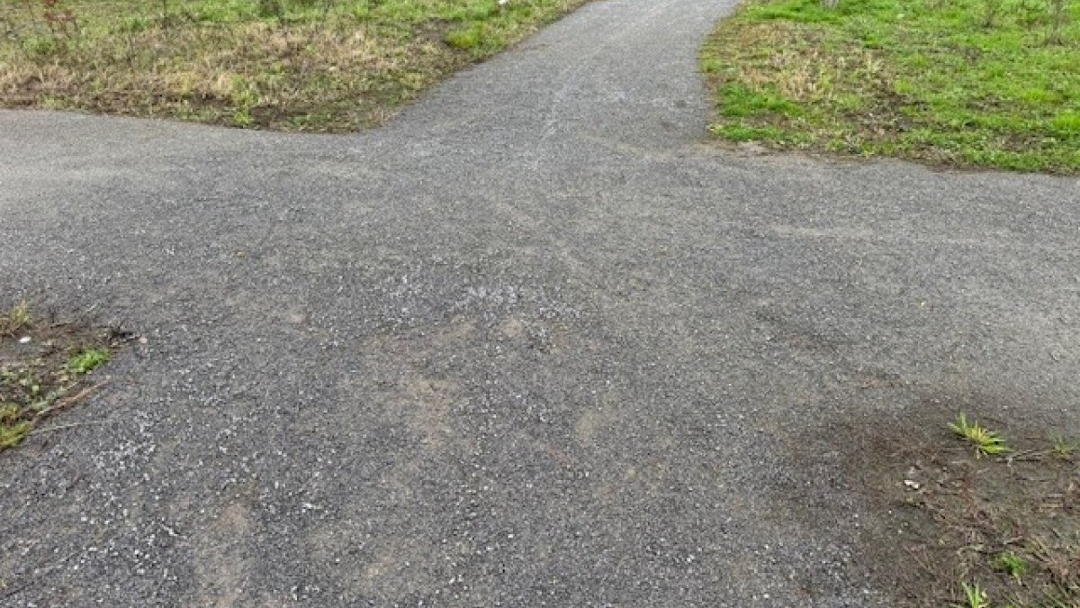 Staalslakken in Nuenen