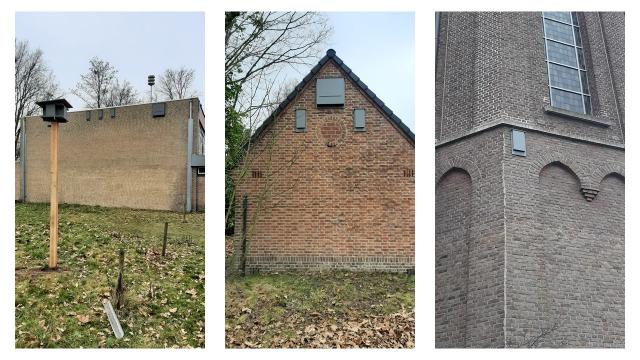 Nestkasten op Klooster en gymzaal