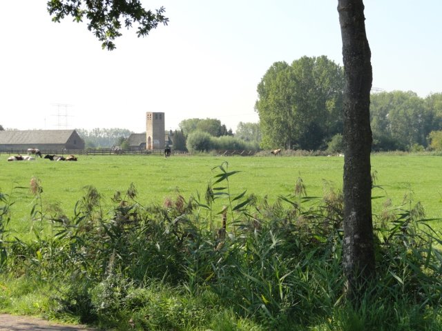 Oude karakteristieke toren 