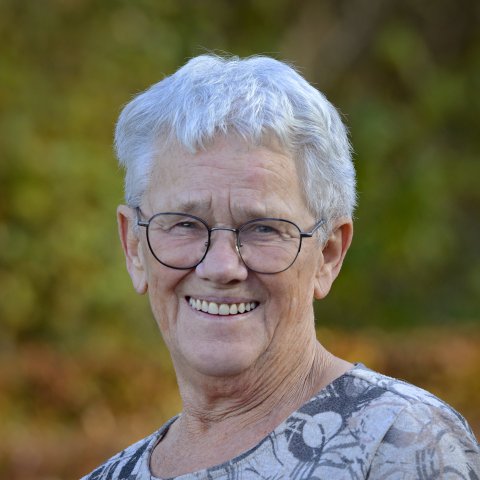 Decoranda Riet Rijnen