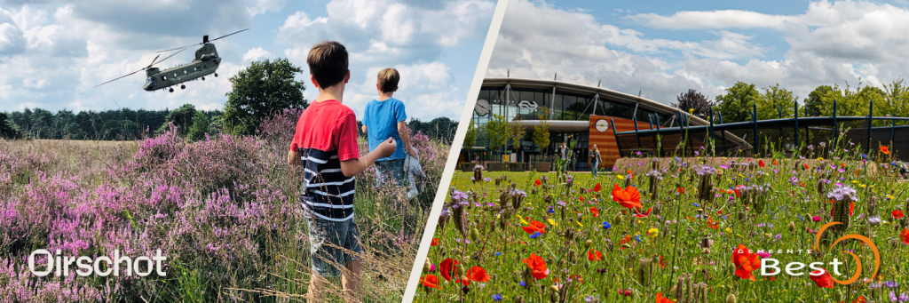 Oirschotse heide en NS-station Best