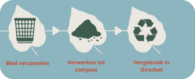 Schema met tekst: blad verzamelen > Verwerken tot compost > hergebruik in Oirschot