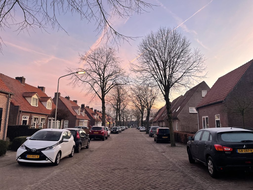 Lindenlaan bij zonsondergang