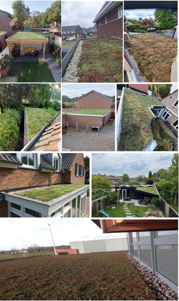 Collage van Vergroende daken in de gemeente Oirschot