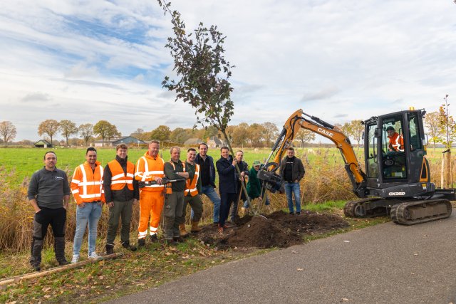 Eén van de 795 laanbomen krijgt een plek aan de Soeperdonken in Oirschot.