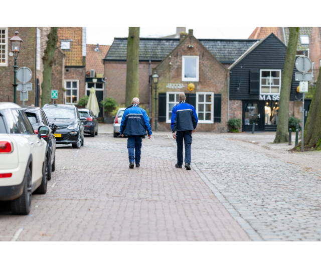 Boa's lopen door de wijk