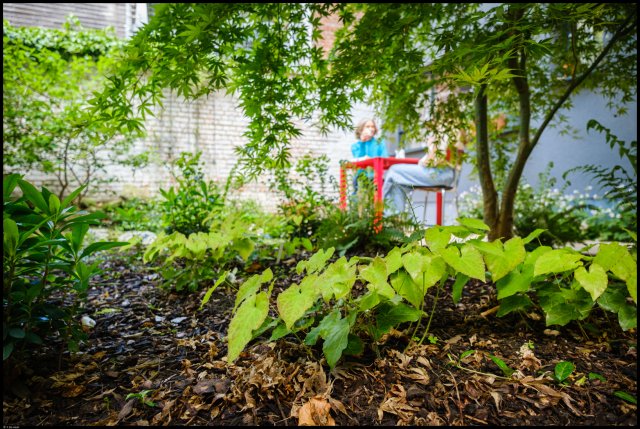 Tuin met verschillende soorten beplanting