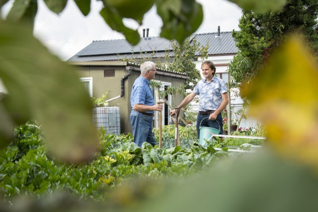Tuinieren in eigen tuin