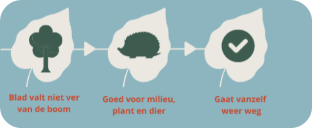 Schema met tekst: blad valt niet ver van de boom > goed voor milieu, plant en dier > Gaat vanzelf weer weg