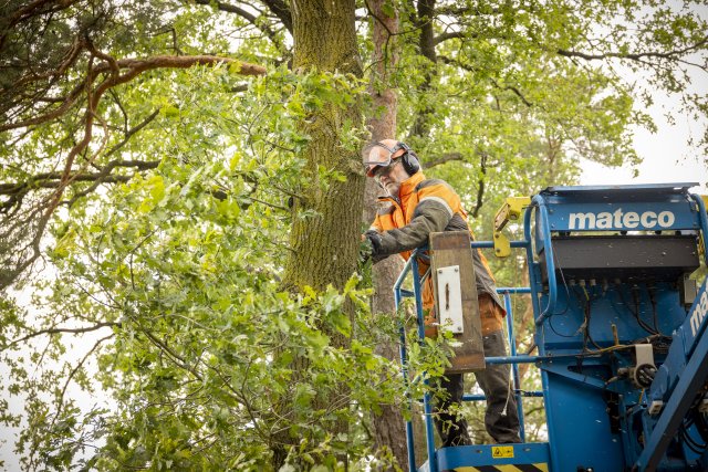 Snoeiwerkzaamheden in het buitengebied van Oirschot