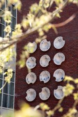Decoratieve bordjes geplakt op de gevel van een gebouw