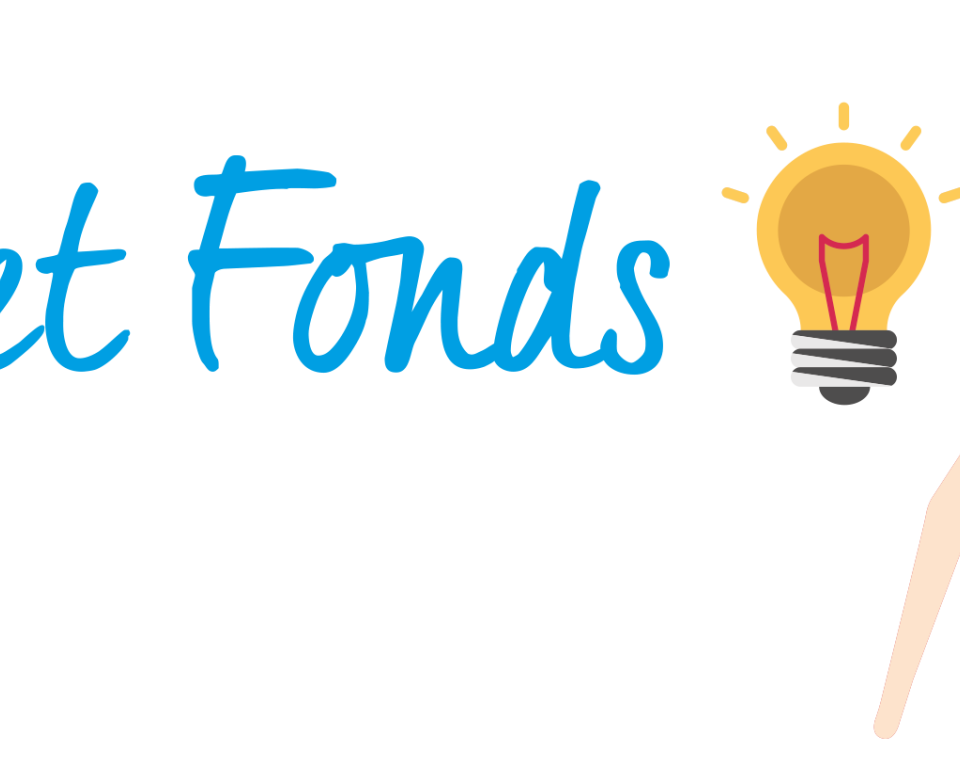 Afbeelding van Het Fonds